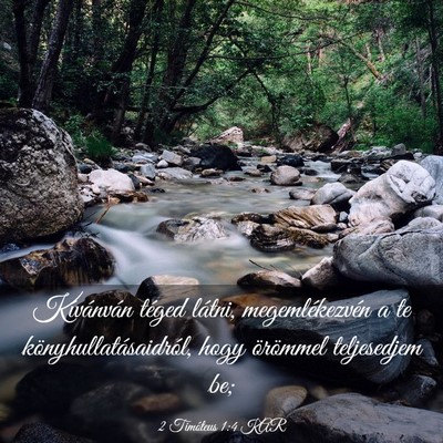Picture 03 - 2 Timóteus 1:4 KAR - Kívánván téged látni, megemlékezvén a te - Bible Verse Picture