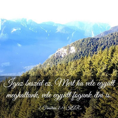 Picture 03 - 2 Timóteus 2:11 KAR - Igaz beszéd ez. Mert ha vele együtt meghaltunk, - Bible Verse Picture