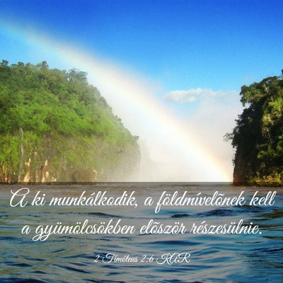Picture 03 - 2 Timóteus 2:6 KAR - A ki munkálkodik, a földmívelõnek kell a - Bible Verse Picture