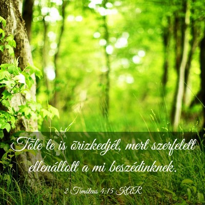 Picture 03 - 2 Timóteus 4:15 KAR - Tõle te is õrizkedjél, mert szerfelett - Bible Verse Picture