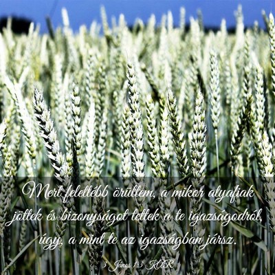 Picture 03 - 3 János 1:3 KAR - Mert felettébb örültem, a mikor atyafiak - Bible Verse Picture