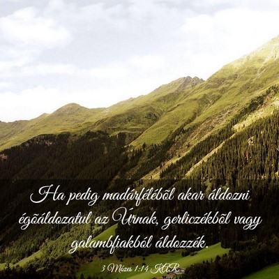 Picture 03 - 3 Mózes 1:14 KAR - Ha pedig madárfélébõl akar áldozni - Bible Verse Picture