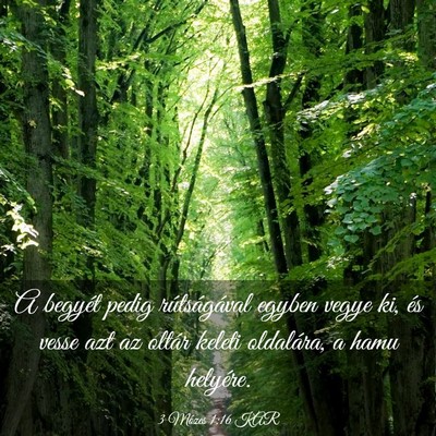 Picture 03 - 3 Mózes 1:16 KAR - A begyét pedig rútságával egyben vegye ki, - Bible Verse Picture