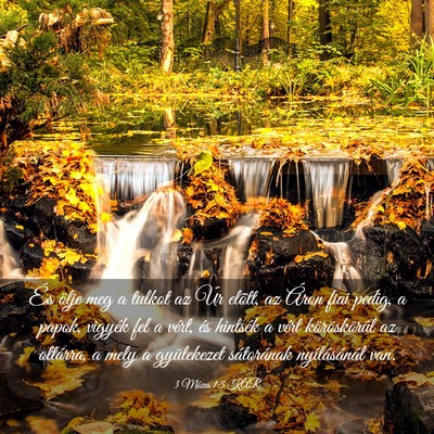 Picture 03 - 3 Mózes 1:5 KAR - És ölje meg a tulkot az Úr elõtt, az Áron - Bible Verse Picture