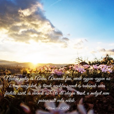 Picture 03 - 3 Mózes 10:1 KAR - Nádáb pedig és Abihu, Áronnak fiai, vevék - Bible Verse Picture