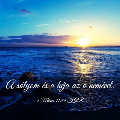 Picture 03 - 3 Mózes 11:14 KAR - A sólyom és a héja az õ - Bible Verse Picture