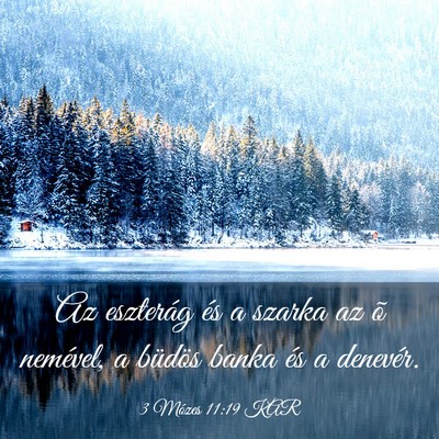 Picture 03 - 3 Mózes 11:19 KAR - Az eszterág és a szarka az õ nemével, a - Bible Verse Picture
