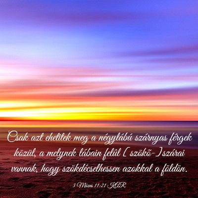 Picture 03 - 3 Mózes 11:21 KAR - Csak azt ehetitek meg a négylábú szárnyas - Bible Verse Picture