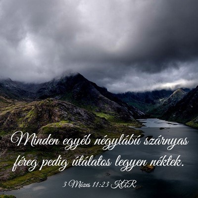 Picture 03 - 3 Mózes 11:23 KAR - Minden egyéb négylábú szárnyas féreg pedig - Bible Verse Picture