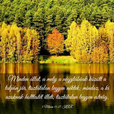 Picture 03 - 3 Mózes 11:27 KAR - Minden állat, a mely a négylábúak között a - Bible Verse Picture