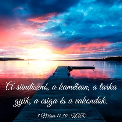 Picture 03 - 3 Mózes 11:30 KAR - A sündisznó, a kaméleon, a tarka gyík, a - Bible Verse Picture
