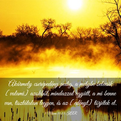 Picture 03 - 3 Mózes 11:33 KAR - Akármely cserépedény pedig, a melybe beleesik - Bible Verse Picture