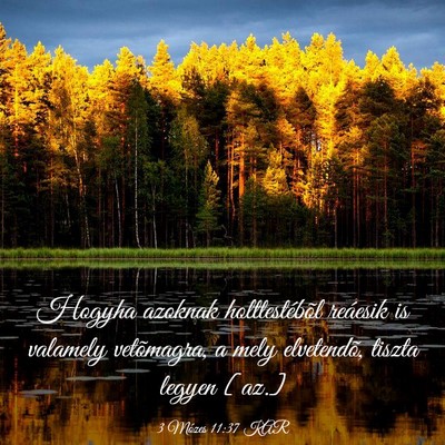 Picture 03 - 3 Mózes 11:37 KAR - Hogyha azoknak holttestébõl reáesik is - Bible Verse Picture
