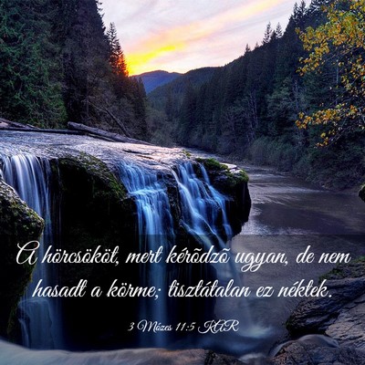 Picture 03 - 3 Mózes 11:5 KAR - A hörcsököt, mert kérõdzõ ugyan, de nem - Bible Verse Picture