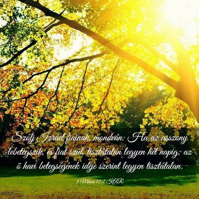 Picture 03 - 3 Mózes 12:2 KAR - Szólj Izráel fiainak, mondván: Ha az asszony - Bible Verse Picture
