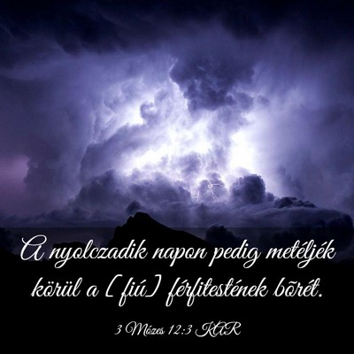 Picture 03 - 3 Mózes 12:3 KAR - A nyolczadik napon pedig metéljék körül a - Bible Verse Picture