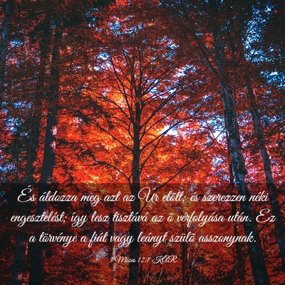 Picture 03 - 3 Mózes 12:7 KAR - És áldozza meg azt az Úr elõtt; és szerezzen - Bible Verse Picture