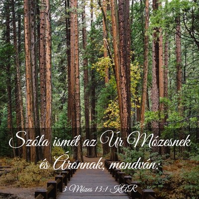 Picture 03 - 3 Mózes 13:1 KAR - Szóla ismét az Úr Mózesnek és Áronnak, - Bible Verse Picture