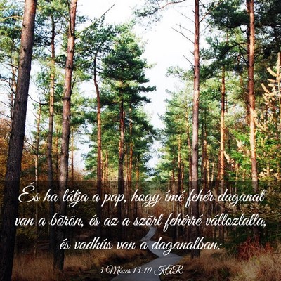 Picture 03 - 3 Mózes 13:10 KAR - És ha látja a pap, hogy ímé fehér daganat - Bible Verse Picture