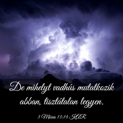 Picture 03 - 3 Mózes 13:14 KAR - De mihelyt vadhús mutatkozik abban, tisztátalan - Bible Verse Picture