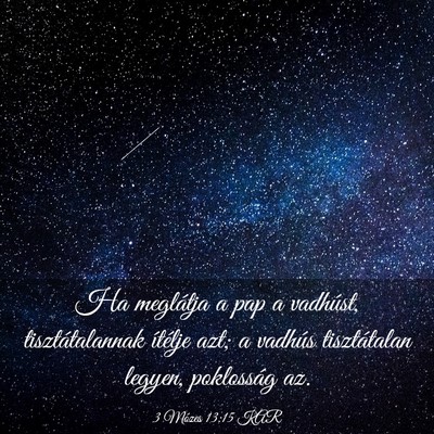 Picture 03 - 3 Mózes 13:15 KAR - Ha meglátja a pap a vadhúst, tisztátalannak - Bible Verse Picture