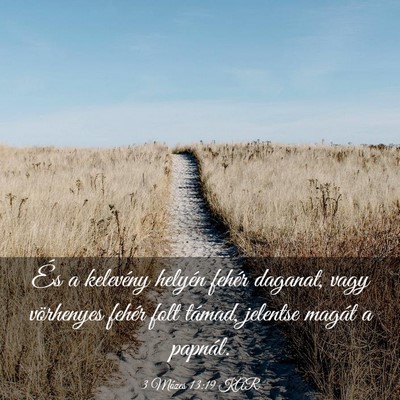 Picture 03 - 3 Mózes 13:19 KAR - És a kelevény helyén fehér daganat, vagy - Bible Verse Picture