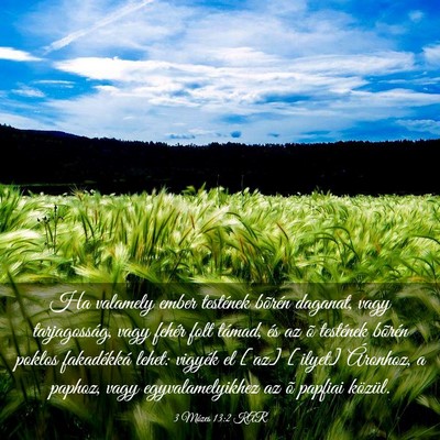 Picture 03 - 3 Mózes 13:2 KAR - Ha valamely ember testének bõrén daganat, vagy - Bible Verse Picture