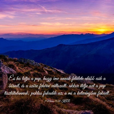 Picture 03 - 3 Mózes 13:20 KAR - És ha látja a pap, hogy íme annak felülete - Bible Verse Picture