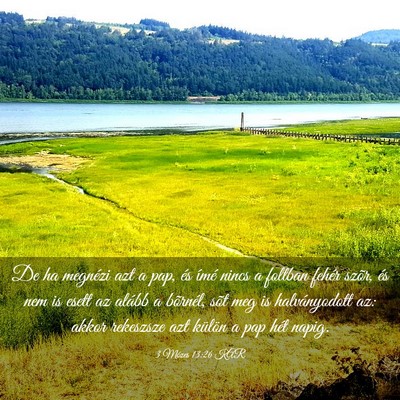 Picture 03 - 3 Mózes 13:26 KAR - De ha megnézi azt a pap, és ímé nincs a - Bible Verse Picture