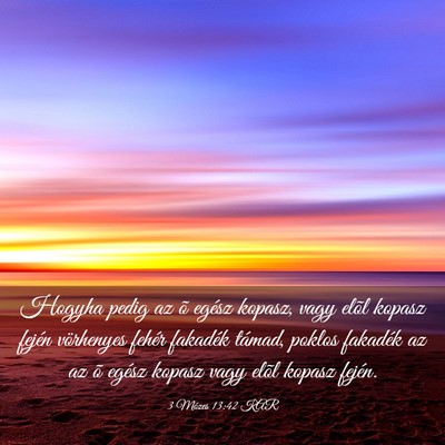Picture 03 - 3 Mózes 13:42 KAR - Hogyha pedig az õ egész kopasz, vagy elõl - Bible Verse Picture