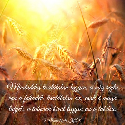 Picture 03 - 3 Mózes 13:46 KAR - Mindaddig tisztátalan legyen, a míg rajta van a - Bible Verse Picture
