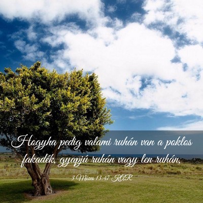 Picture 03 - 3 Mózes 13:47 KAR - Hogyha pedig valami ruhán van a poklos fakadék, - Bible Verse Picture