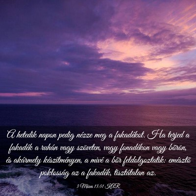 Picture 03 - 3 Mózes 13:51 KAR - A hetedik napon pedig nézze meg a fakadékot. Ha - Bible Verse Picture