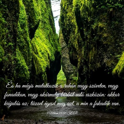 Picture 03 - 3 Mózes 13:57 KAR - És ha mégis mutatkozik a ruhán vagy szöveten, - Bible Verse Picture
