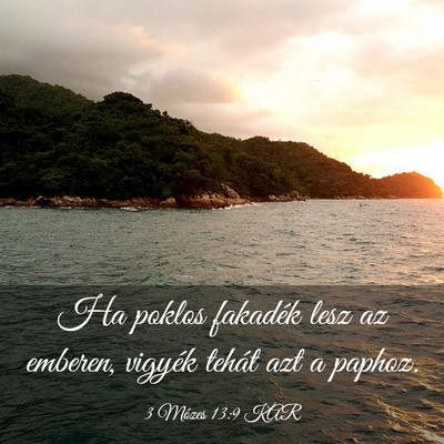 Picture 03 - 3 Mózes 13:9 KAR - Ha poklos fakadék lesz az emberen, vigyék - Bible Verse Picture