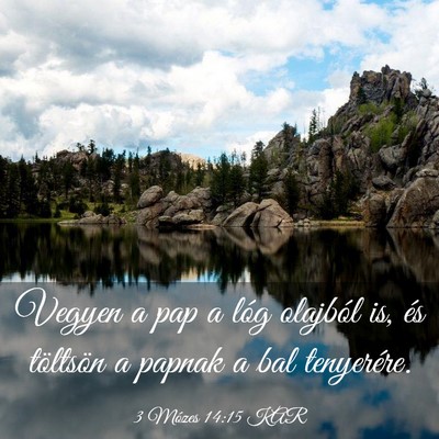 Picture 03 - 3 Mózes 14:15 KAR - Vegyen a pap a lóg olajból is, és töltsön a - Bible Verse Picture