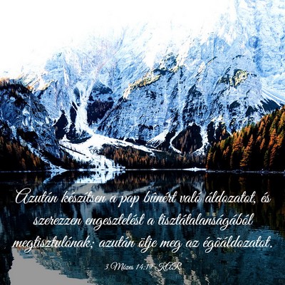 Picture 03 - 3 Mózes 14:19 KAR - Azután készítsen a pap bûnért való - Bible Verse Picture