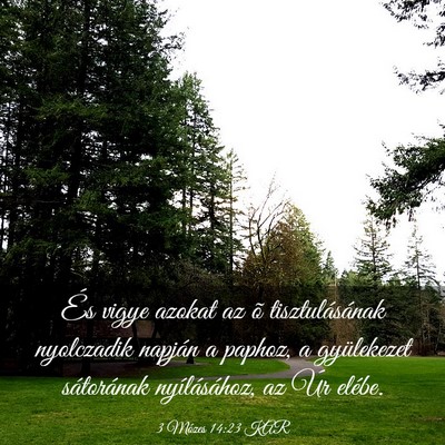 Picture 03 - 3 Mózes 14:23 KAR - És vigye azokat az õ tisztulásának nyolczadik - Bible Verse Picture