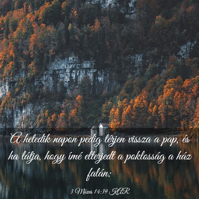 Picture 03 - 3 Mózes 14:39 KAR - A hetedik napon pedig térjen vissza a pap, és - Bible Verse Picture