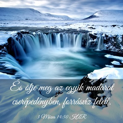 Picture 03 - 3 Mózes 14:50 KAR - És ölje meg az egyik madarat cserépedényben, - Bible Verse Picture