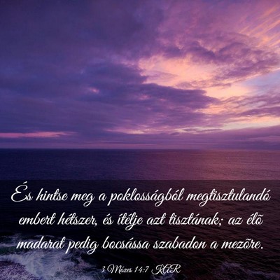 Picture 03 - 3 Mózes 14:7 KAR - És hintse meg a poklosságból megtisztulandó - Bible Verse Picture