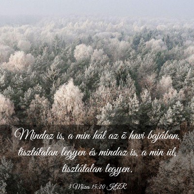 Picture 03 - 3 Mózes 15:20 KAR - Mindaz is, a min hál az õ havi bajában, - Bible Verse Picture