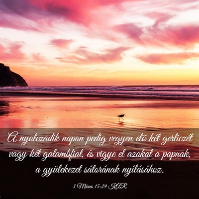 Picture 03 - 3 Mózes 15:29 KAR - A nyolczadik napon pedig vegyen elõ két - Bible Verse Picture