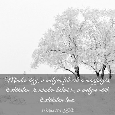 Picture 03 - 3 Mózes 15:4 KAR - Minden ágy, a melyen fekszik a magfolyós, - Bible Verse Picture