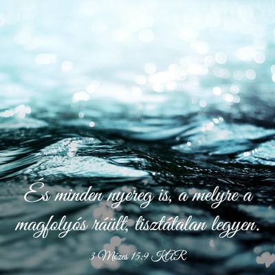 Picture 03 - 3 Mózes 15:9 KAR - És minden nyereg is, a melyre a magfolyós - Bible Verse Picture