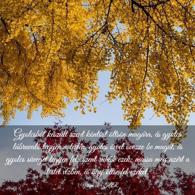 Picture 03 - 3 Mózes 16:4 KAR - Gyolcsból készült szent köntöst öltsön - Bible Verse Picture