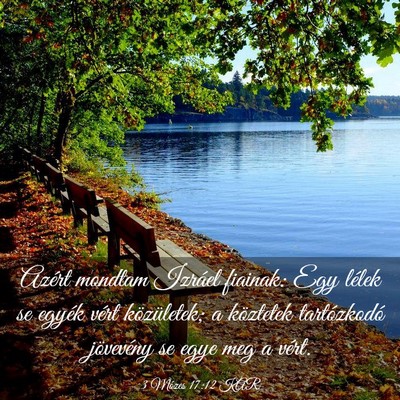 Picture 03 - 3 Mózes 17:12 KAR - Azért mondtam Izráel fiainak: Egy lélek se - Bible Verse Picture