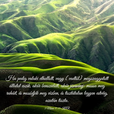 Picture 03 - 3 Mózes 17:15 KAR - Ha pedig valaki elhullott, vagy [vadtól] - Bible Verse Picture