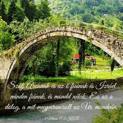Picture 03 - 3 Mózes 17:2 KAR - Szólj Áronnak és az õ fiainak és Izráel - Bible Verse Picture
