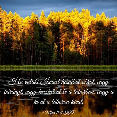 Picture 03 - 3 Mózes 17:3 KAR - Ha valaki Izráel házából ökröt, vagy - Bible Verse Picture
